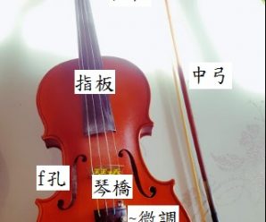 小提琴入門～要學習小提琴前先認識小提琴各部位