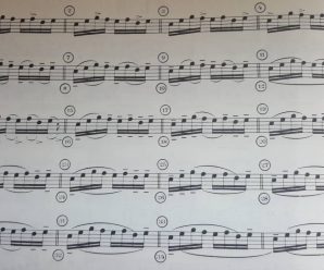 小時候沒學過任何樂器，成人後才開始學習小提琴，在基礎姿勢學習與專注度上是否會受到影響呢？