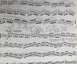 學小提琴尋找啟蒙老師，學習中甚麼時候該換老師？